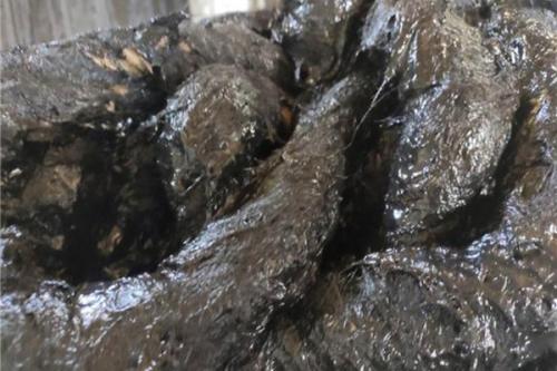 景墻工程施工方法解析，你知道有哪些？  第2張